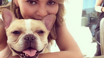 Illustration : 11 célébrités complètement gagas de leurs chiens à suivre sur Instagram