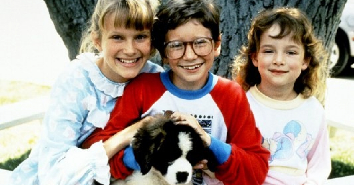 Film De Noel Avec Un Chien 20 films avec des chiens à voir pendant les fêtes de Noël