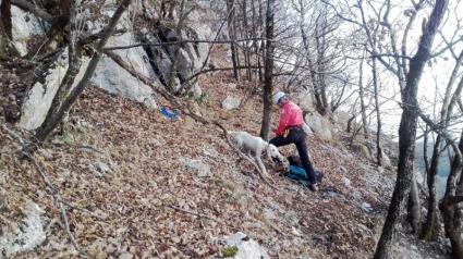 Illustration : Clarafond-Arcine (74) : les pompiers au secours d’un chien de chasse