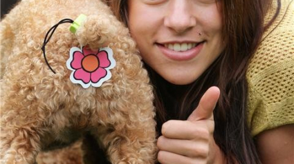 Illustration : 6 étranges accessoires pour chiens