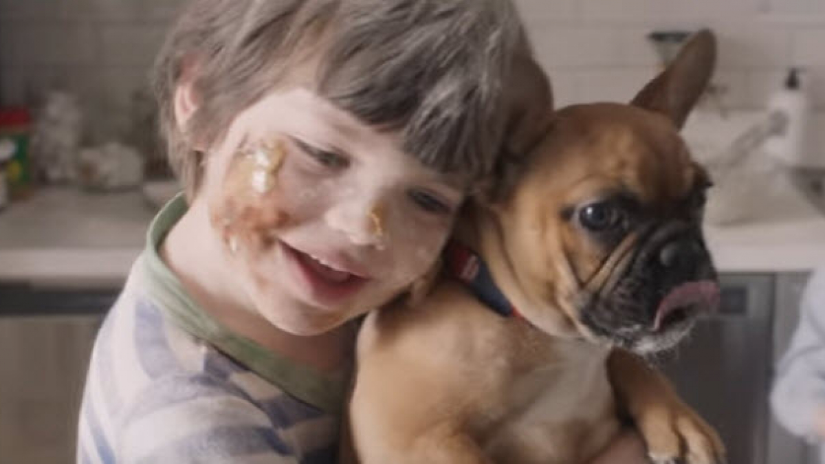 Illustration : "Un magnifique court-métrage qui explique pourquoi la vie est plus belle grâce à nos chiens"