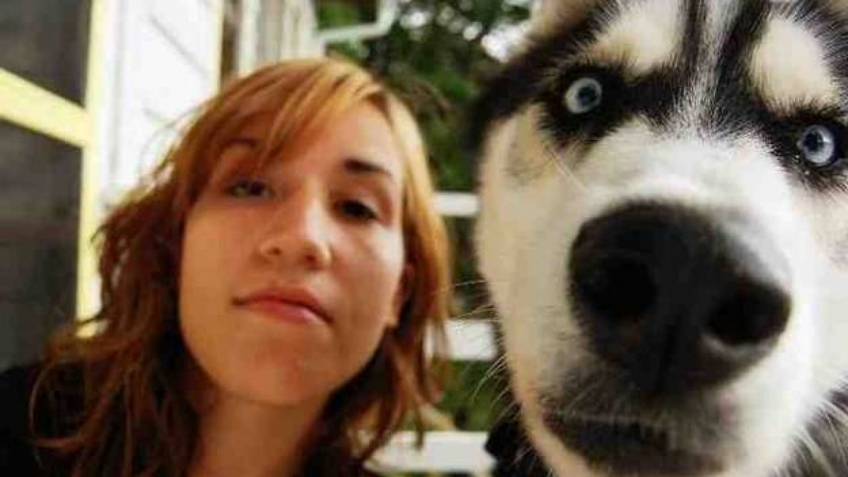 Illustration : "27 selfies de chiens hilarants"