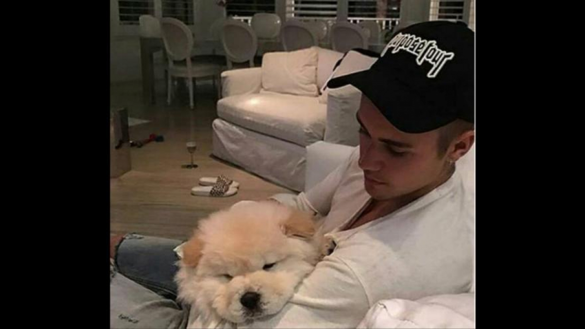 Illustration : "Justin Bieber abandonne son chien malade !"