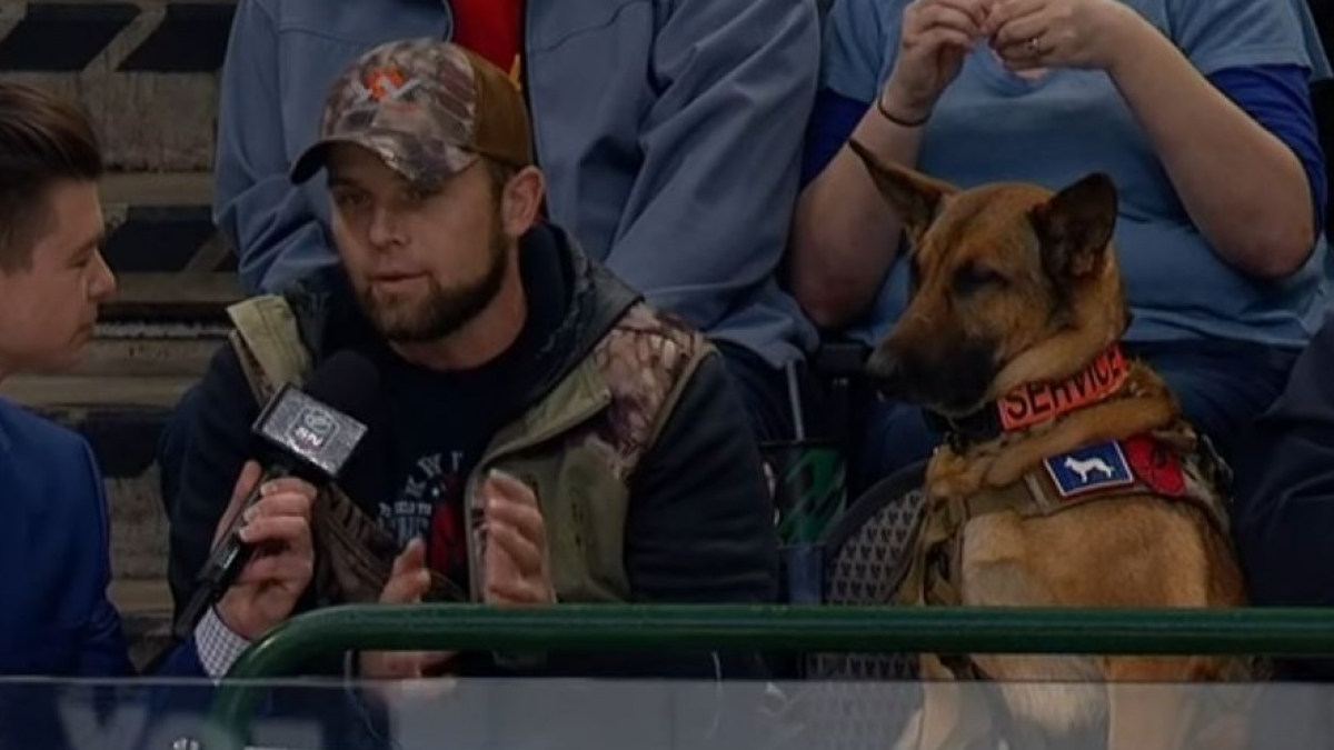 Illustration : "Le chien d’assistance d’un ancien militaire vole la vedette lors d’un match de hockey"