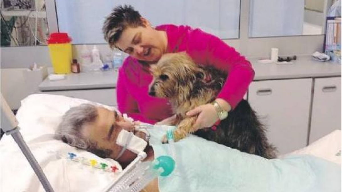 Illustration : "Italie : Un homme dans le coma réagit à la visite de sa chienne"
