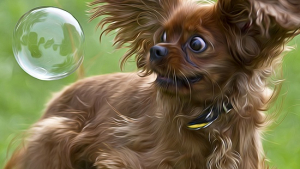 Illustration : "Vous adorez les bulles ? Les chiens aussi ! La preuve en 17 images"