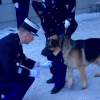 Illustration : Chéops, chien de la gendarmerie de Haute-Savoie, décoré pour sa brillante carrière