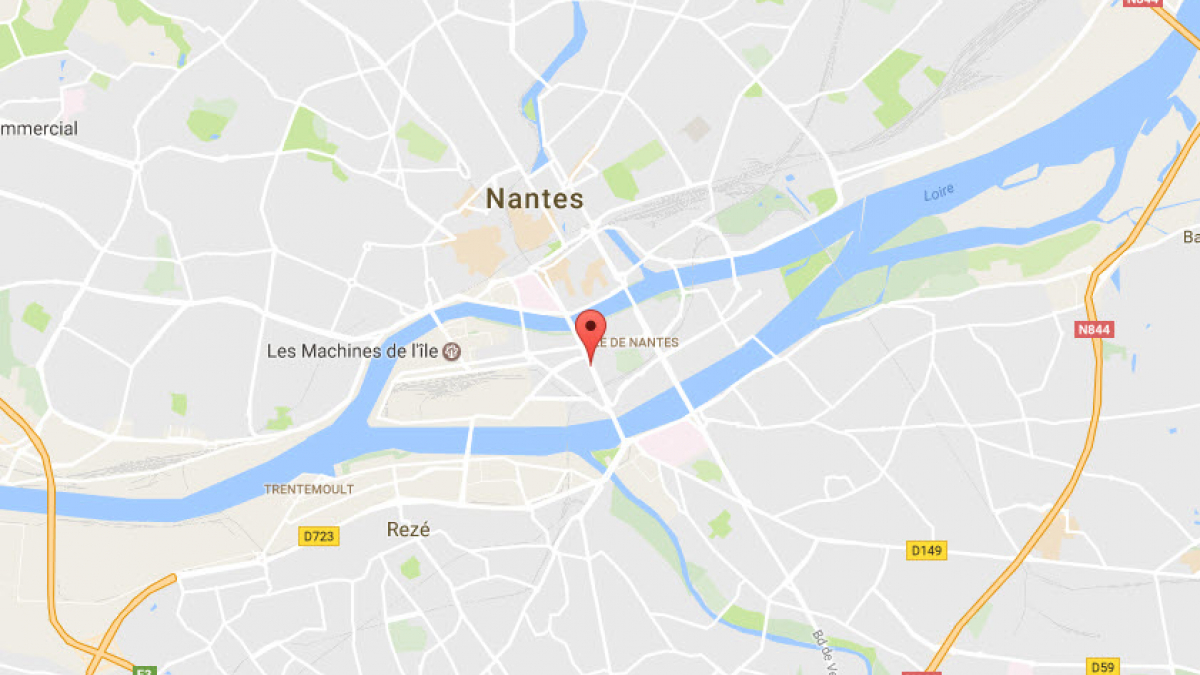 Illustration : "Nantes : un homme brutalise son chien et le traîne derrière sa bicyclette"