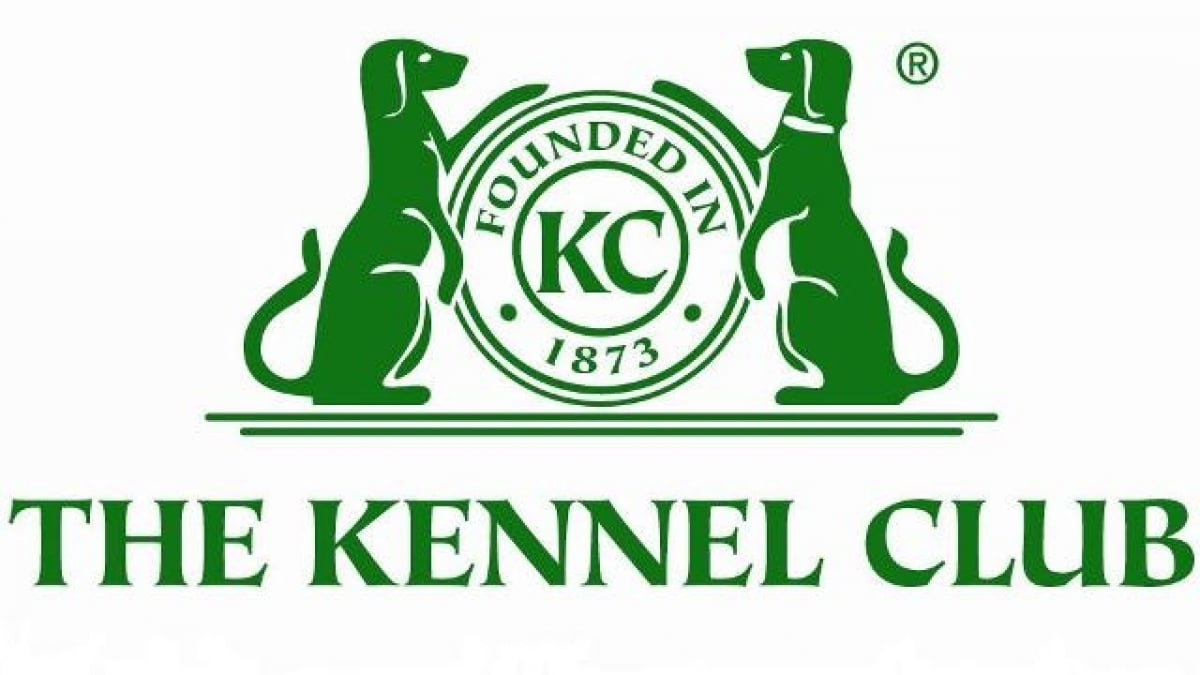 Illustration : "Le KC : Kennel Club"