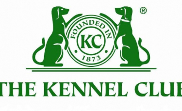 Illustration : "Le KC : Kennel Club"