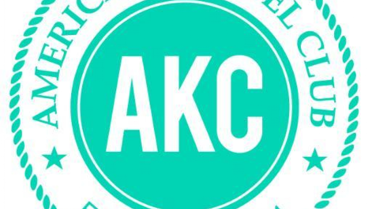 Illustration : "L'AKC : American Kennel Club"