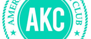 Illustration : "L'AKC : American Kennel Club"