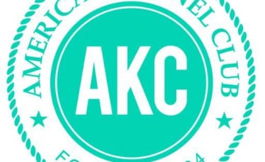Illustration : "L'AKC : American Kennel Club"