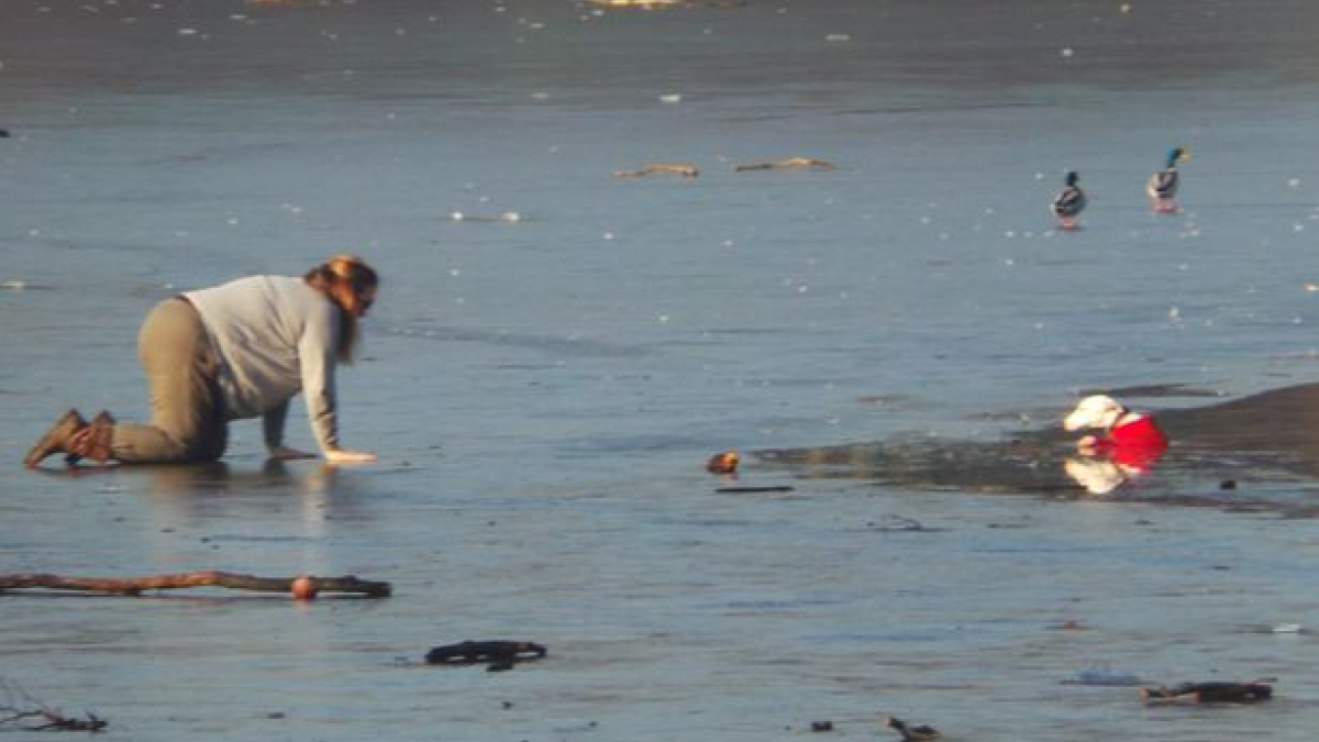 Illustration : "Une jeune femme rampe sur la glace pour sauver son chien"