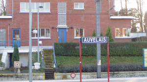 Illustration : "Belgique : les pompiers portent secours à un chien intoxiqué après un incendie"