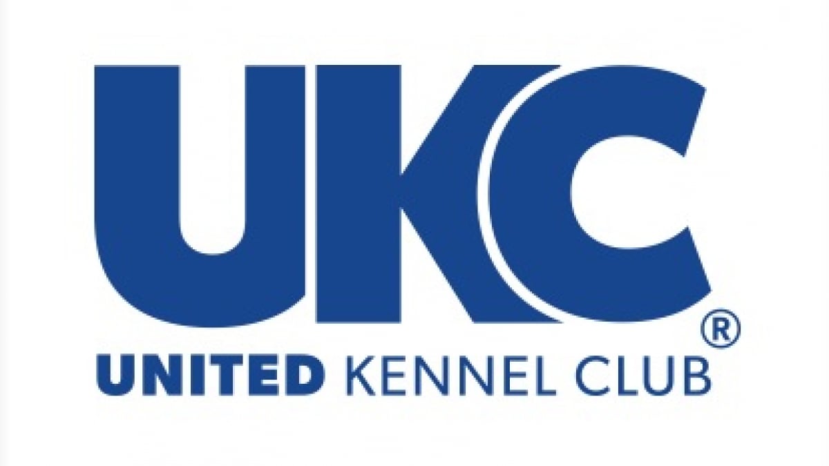 Illustration : "L'UKC : United Kennel Club"