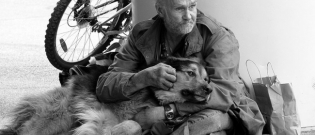 Illustration : "16 photos de chiens faisant preuve d'une loyauté sans limite envers leurs maîtres"