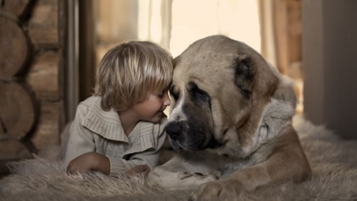 Illustration : "26 photos splendides d’enfants et leurs chiens"