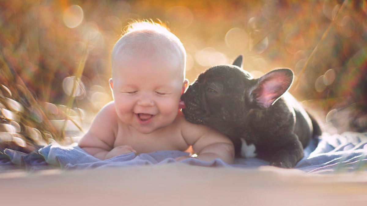 Illustration : "20 magnifiques photos illustrant l'amitié entre un enfant et son chien"