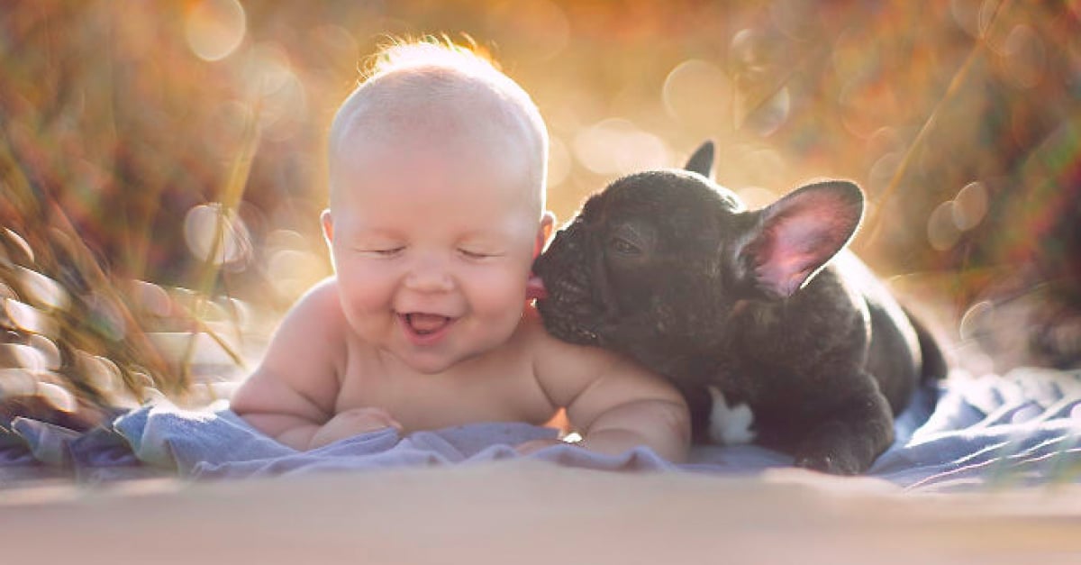 Magnifiques Photos Illustrant L Amitie Entre Un Enfant Et Son Chien Magnifiques Photos Illustrant L Amitie Entre Un Enfant Et Son Chien