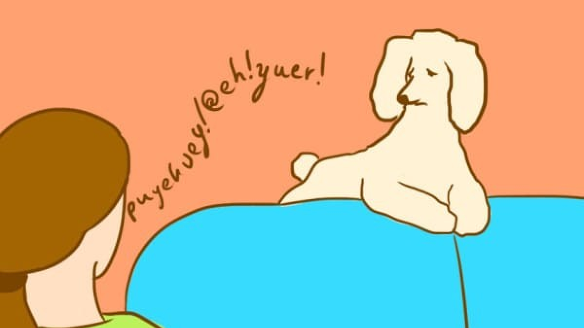 Illustration : "10 Choses que votre chien aimerait que vous sachiez"