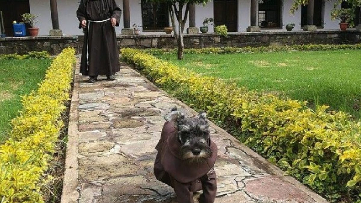 Illustration : "En Bolivie, ce chien errant est devenu la mascotte d’un monastère"