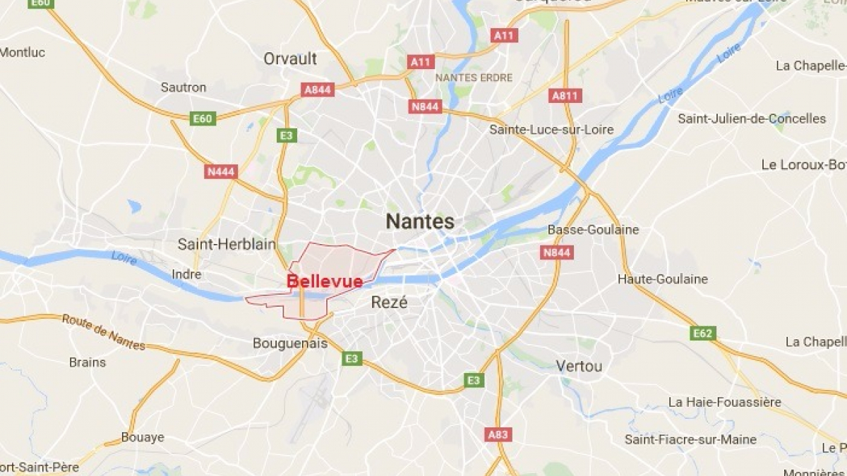 Illustration : "Nantes : Une jeune femme en garde à vue après avoir frappé et poignardé son chien"