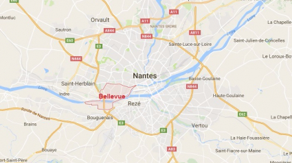 Illustration : Nantes : Une jeune femme en garde à vue après avoir frappé et poignardé son chien