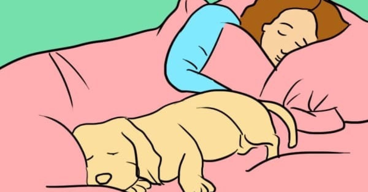 7 Raisons Pour Lesquelles Dormir Avec Son Chien Est Une Bonne Idee
