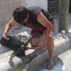 Illustration : Mexique : Plusieurs individus tuent un chien par empoisonnement 