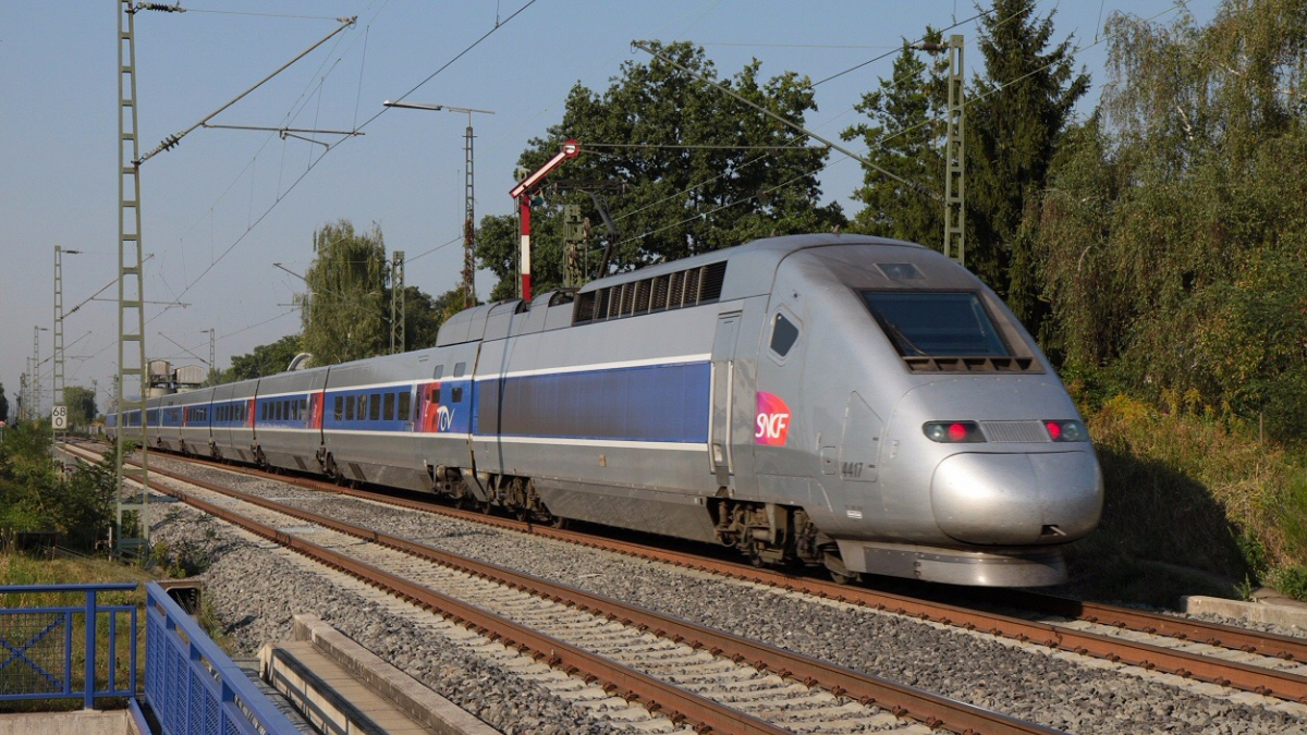 Illustration : "Miracle dans le Pays basque : un chien toujours en vie bien que percuté par un TGV !"