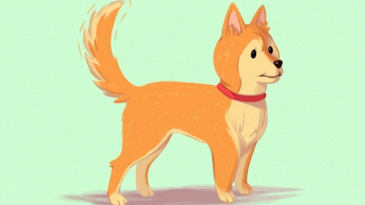 Illustration : "16 illustrations pour mieux comprendre son chien"