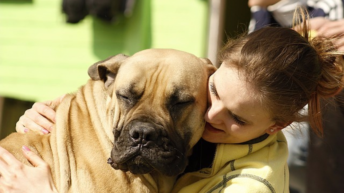 Illustration : "5 bons moyens de montrer à votre chien que vous l'aimez"