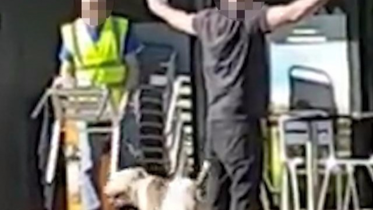 Illustration : "Angleterre : Un homme interpellé après avoir lâché ses chiens sur des passants"