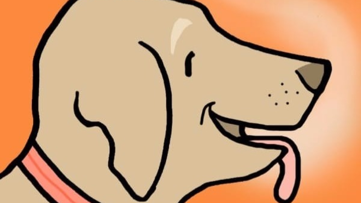 Illustration : "8 bonnes raisons de laisser votre chien vous lécher le visage"
