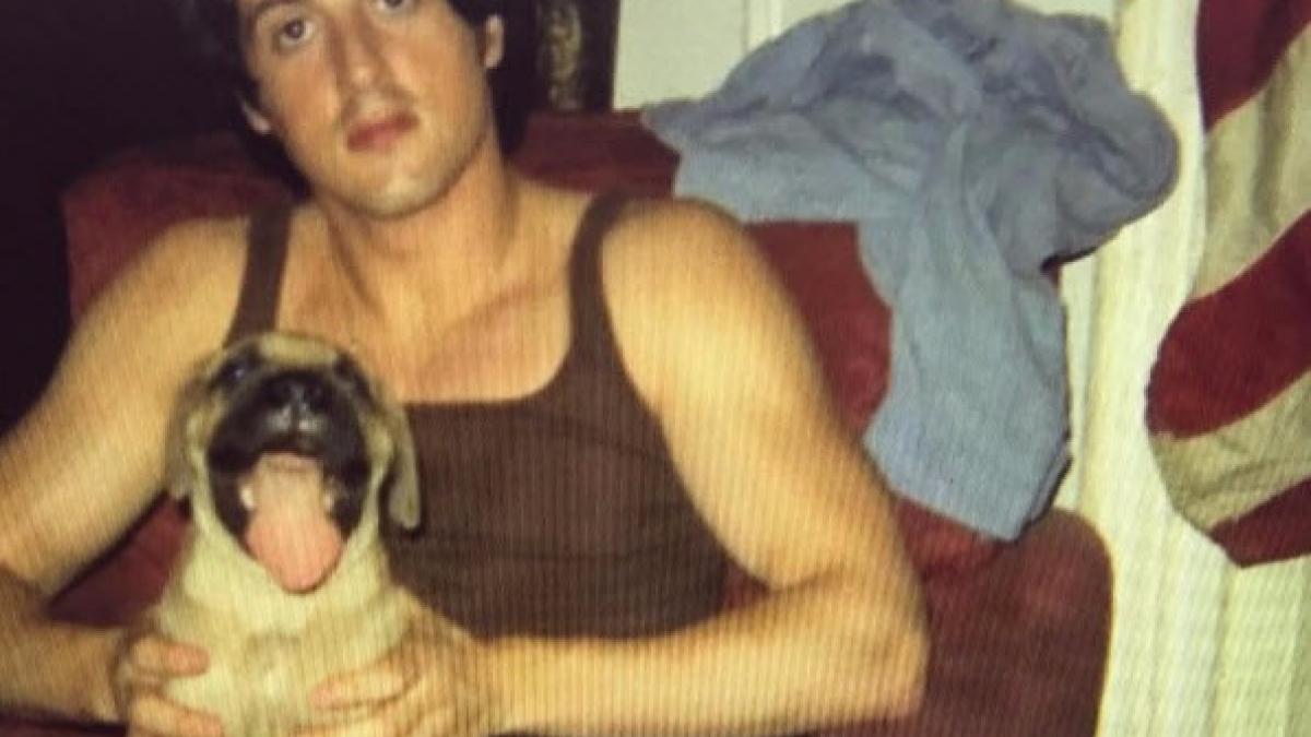 Illustration : "Sylvester Stallone rend un vibrant hommage à son chien, compagnon d’infortune de ses jeunes années"