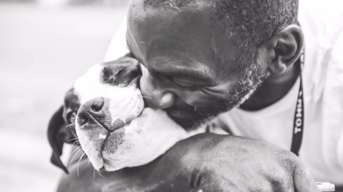 Illustration : "Pour garder son chien, cet homme a préféré se séparer de son lit"