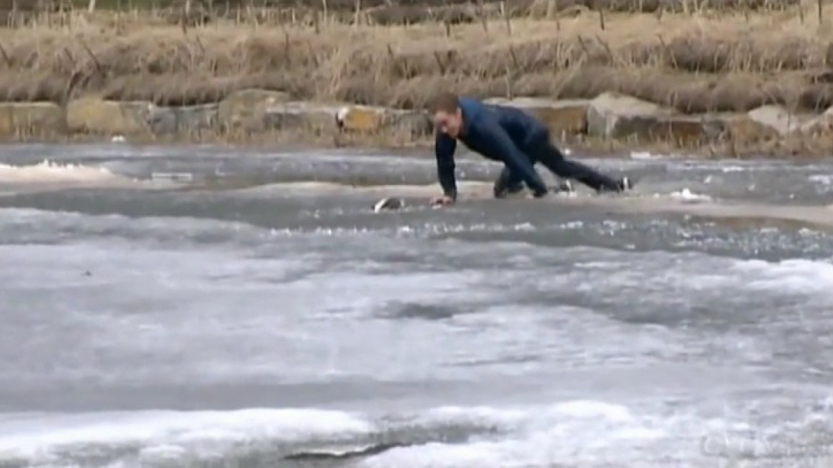 Illustration : "Un homme se jette dans un lac gelé pour sauver son chien"