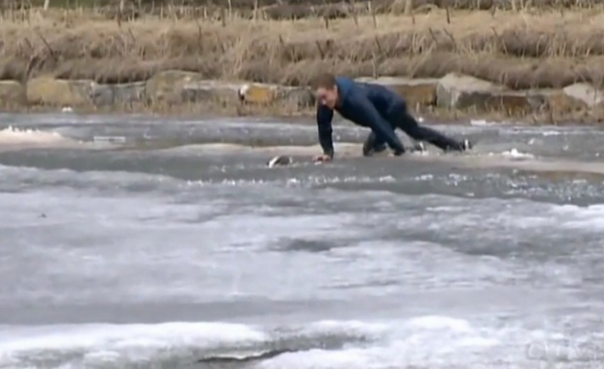 Illustration : "Un homme se jette dans un lac gelé pour sauver son chien"