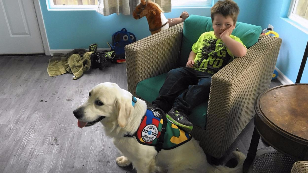 Illustration : "Belle surprise de Pâques pour cet enfant autiste, qui rencontre enfin son chien d’assistance"