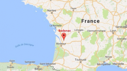 Illustration : Bedenac (17) : La Fondation 30 Millions d’Amis sauve 7 chiens de chasse