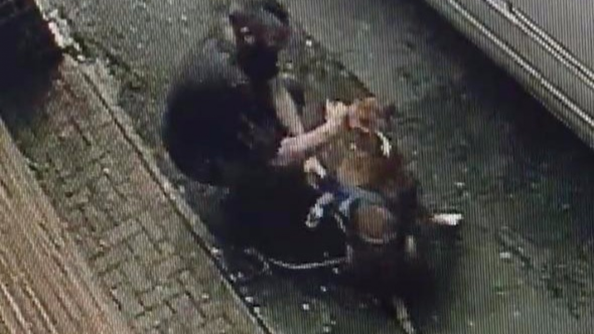 Illustration : "Angleterre : Un homme arrêté après avoir battu sa chienne dans la rue"