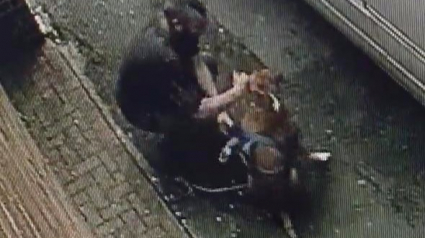 Illustration : Angleterre : Un homme arrêté après avoir battu sa chienne dans la rue