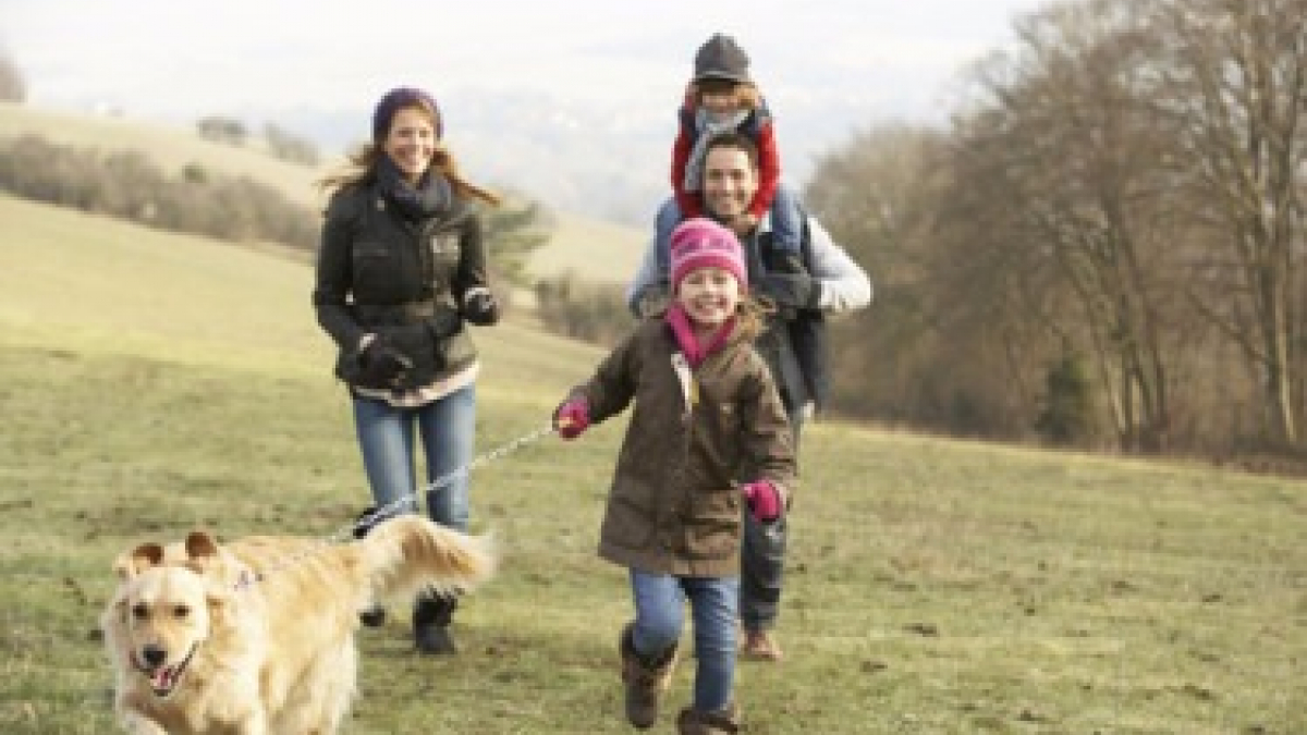 Illustration : "7 raisons pour lesquelles nos chiens font partie de la famille"