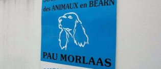 Illustration : "Pau (64): Un refuge soupçonné d'avoir abattu 1700 chiens et chats entre 2010 et 2013 !"