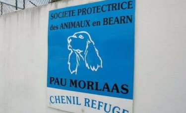 Illustration : "Pau (64): Un refuge soupçonné d'avoir abattu 1700 chiens et chats entre 2010 et 2013 !"