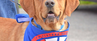 Illustration : "Etats-Unis : Un coach de basket-ball (NBA) adopte un chien dont personne ne voulait !"