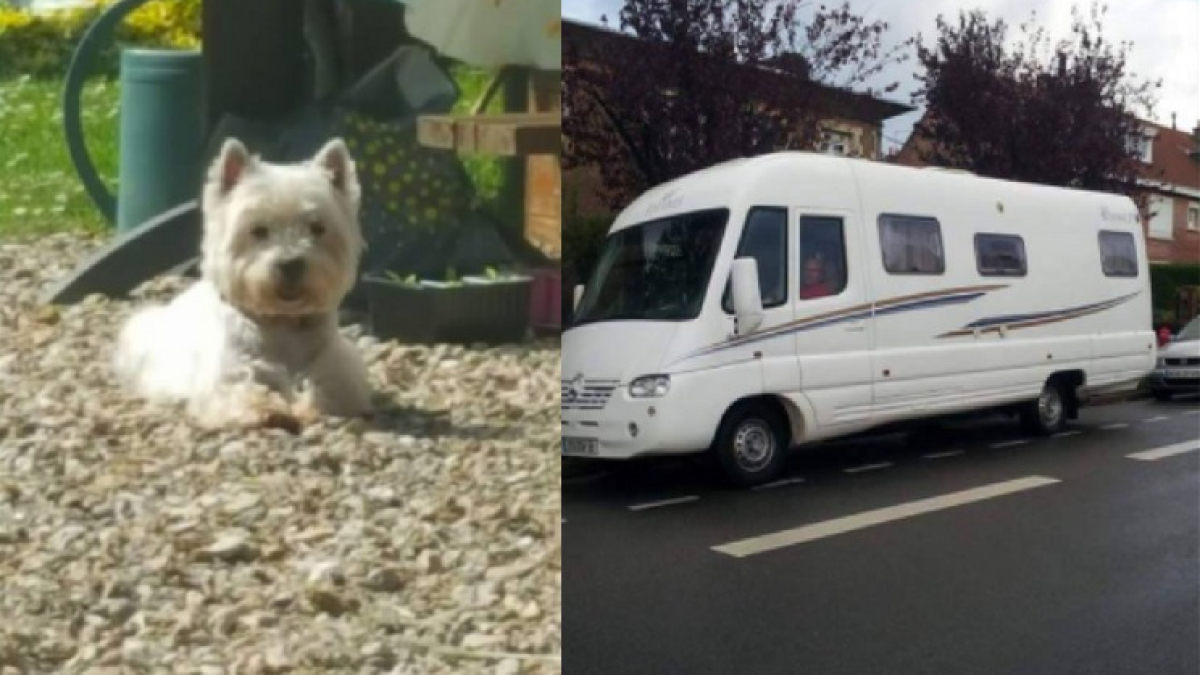 Illustration : "Lomme (59) : En ressortant de l’hypermarché, leur camping-car a disparu et le chien avec"