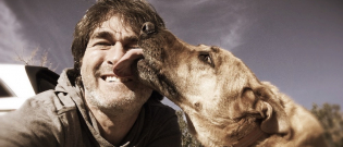 Illustration : "5 raisons qui expliquent pourquoi les chiens lèchent leur maître"
