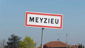 Illustration : Meyzieu (69) : Un chien abandonné dans une voiture depuis une semaine, secouru par les pompiers